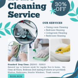 Standard Home Cleaning Services