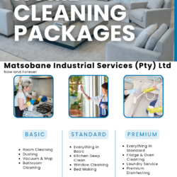 Basic Home Cleaning Services