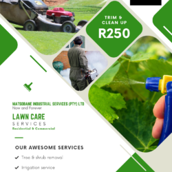 Lawn Care Services